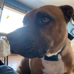 Meet your Posher, Hayley